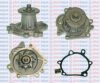 AQUAPLUS 85-2675 Water Pump